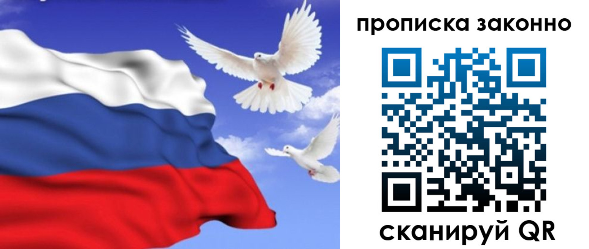 прописка в Суздали